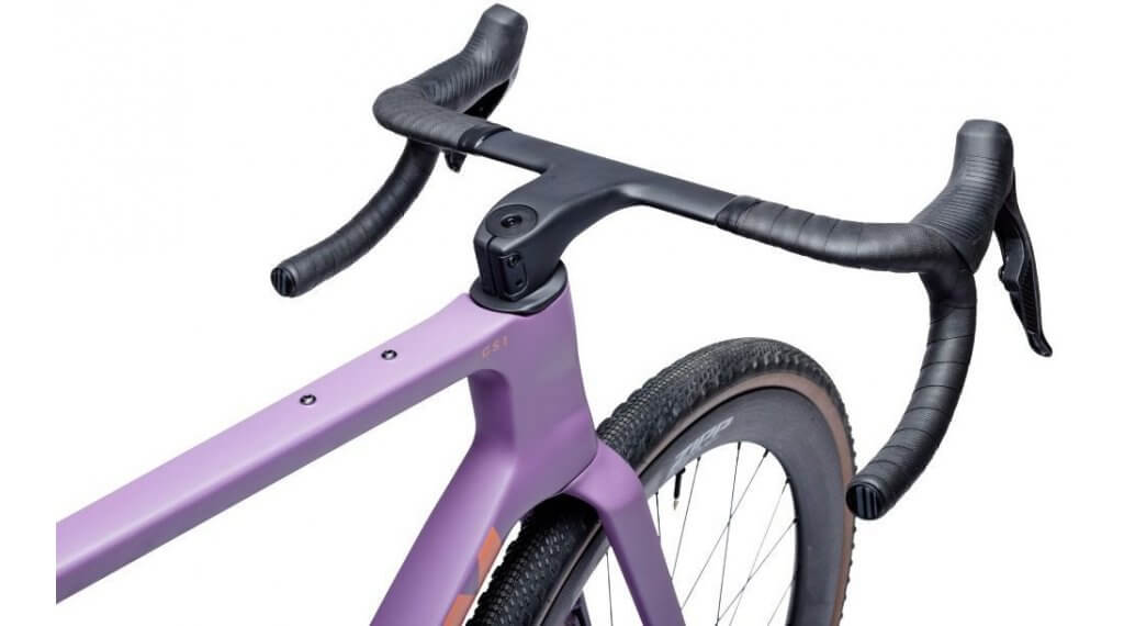 RRG VeGS1E1REX eggplant d5 il