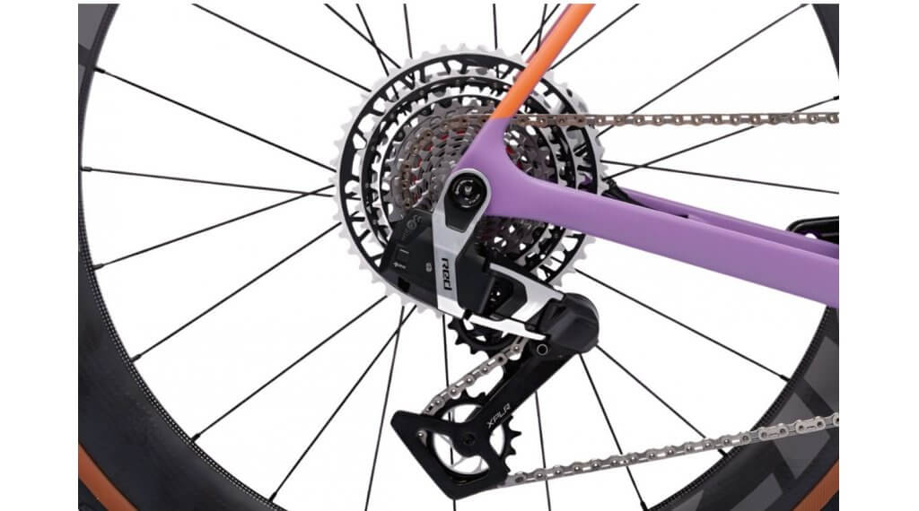 RRG VeGS1E1REX eggplant d6 il