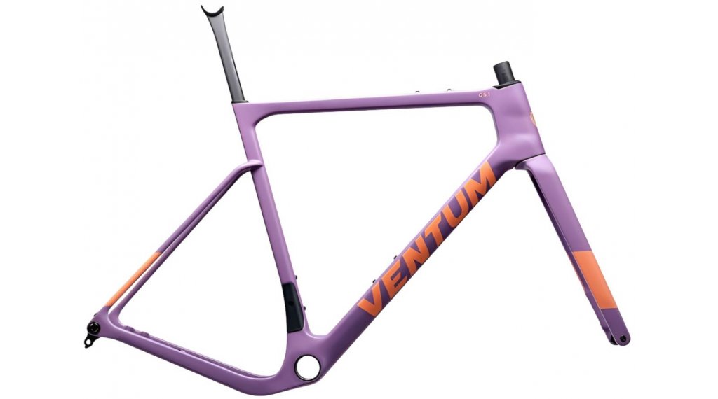 RRAG VeGS1V3 eggplant e1 il 3