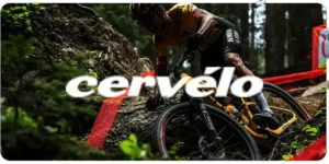 crevelo brand 6